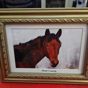 beautiful horse picture north country